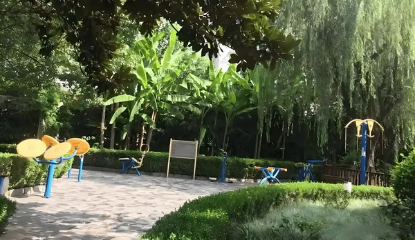 误惹冷面将军