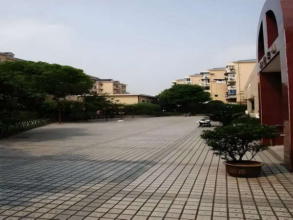 寻魂计