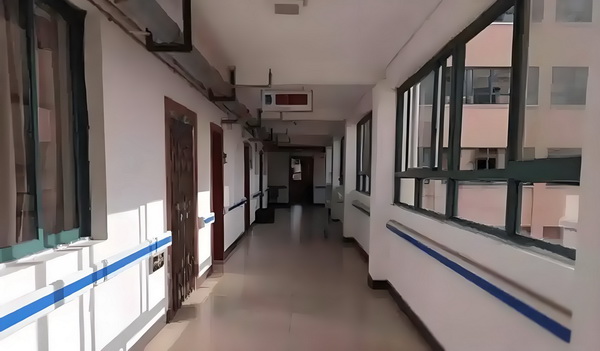 傲世嫡女：追个王爷当上妃